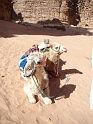 Wadi Rum (61)